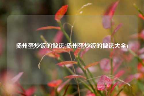 扬州蛋炒饭的做法(扬州蛋炒饭的做法大全)