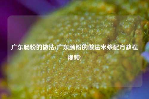 广东肠粉的做法(广东肠粉的做法米浆配方教程视频)