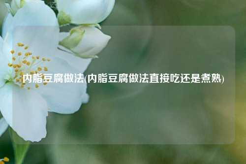 内脂豆腐做法(内脂豆腐做法直接吃还是煮熟)