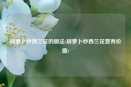 胡萝卜炒西兰花的做法(胡萝卜炒西兰花营养价值)