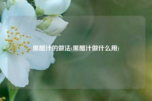 黑醋汁的做法(黑醋汁做什么用)