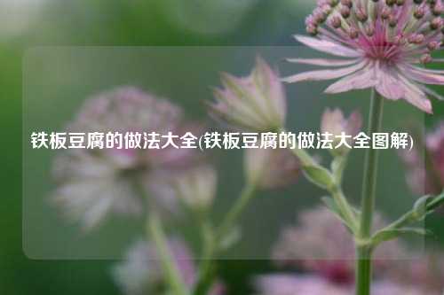 铁板豆腐的做法大全(铁板豆腐的做法大全图解)