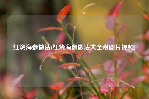 红烧海参做法(红烧海参做法大全带图片视频)