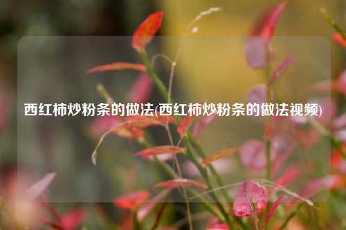 西红柿炒粉条的做法(西红柿炒粉条的做法视频)