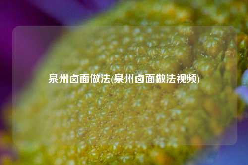 泉州卤面做法(泉州卤面做法视频)