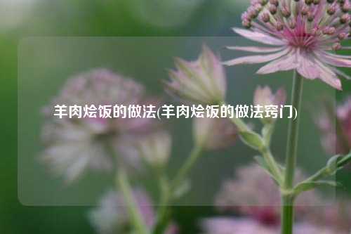 羊肉烩饭的做法(羊肉烩饭的做法窍门)
