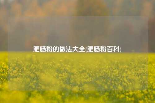 肥肠粉的做法大全(肥肠粉百科)