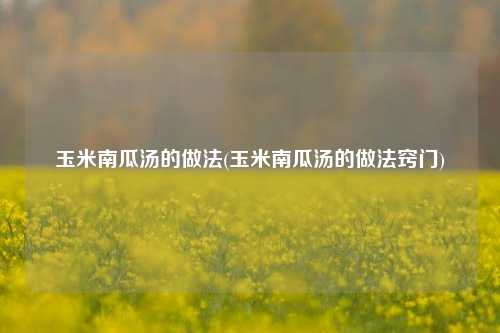 玉米南瓜汤的做法(玉米南瓜汤的做法窍门)