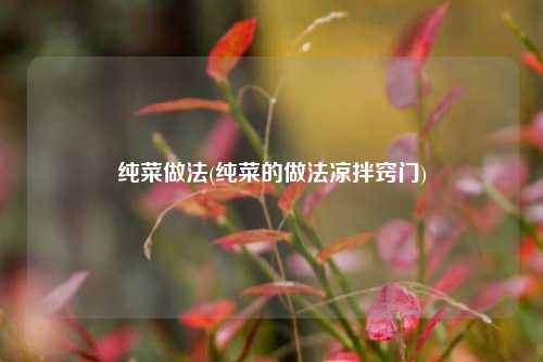 纯菜做法(纯菜的做法凉拌窍门)