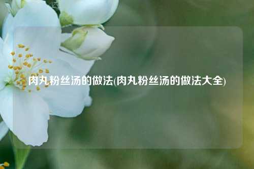 肉丸粉丝汤的做法(肉丸粉丝汤的做法大全)