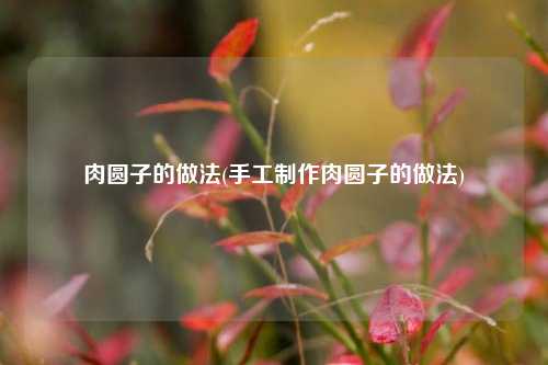 肉圆子的做法(手工制作肉圆子的做法)